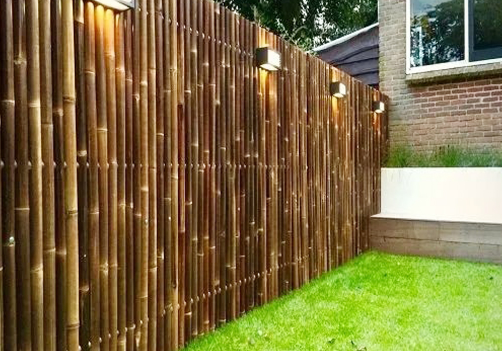 Bamboo Jafri in Delhi