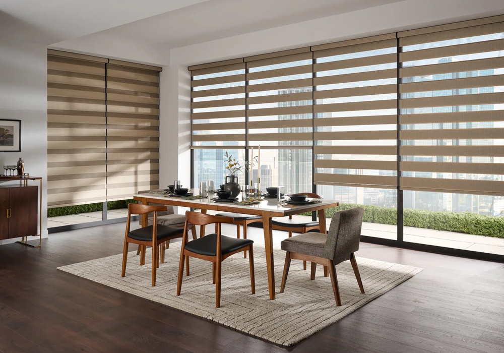 ZEBRA BLIND in delhi